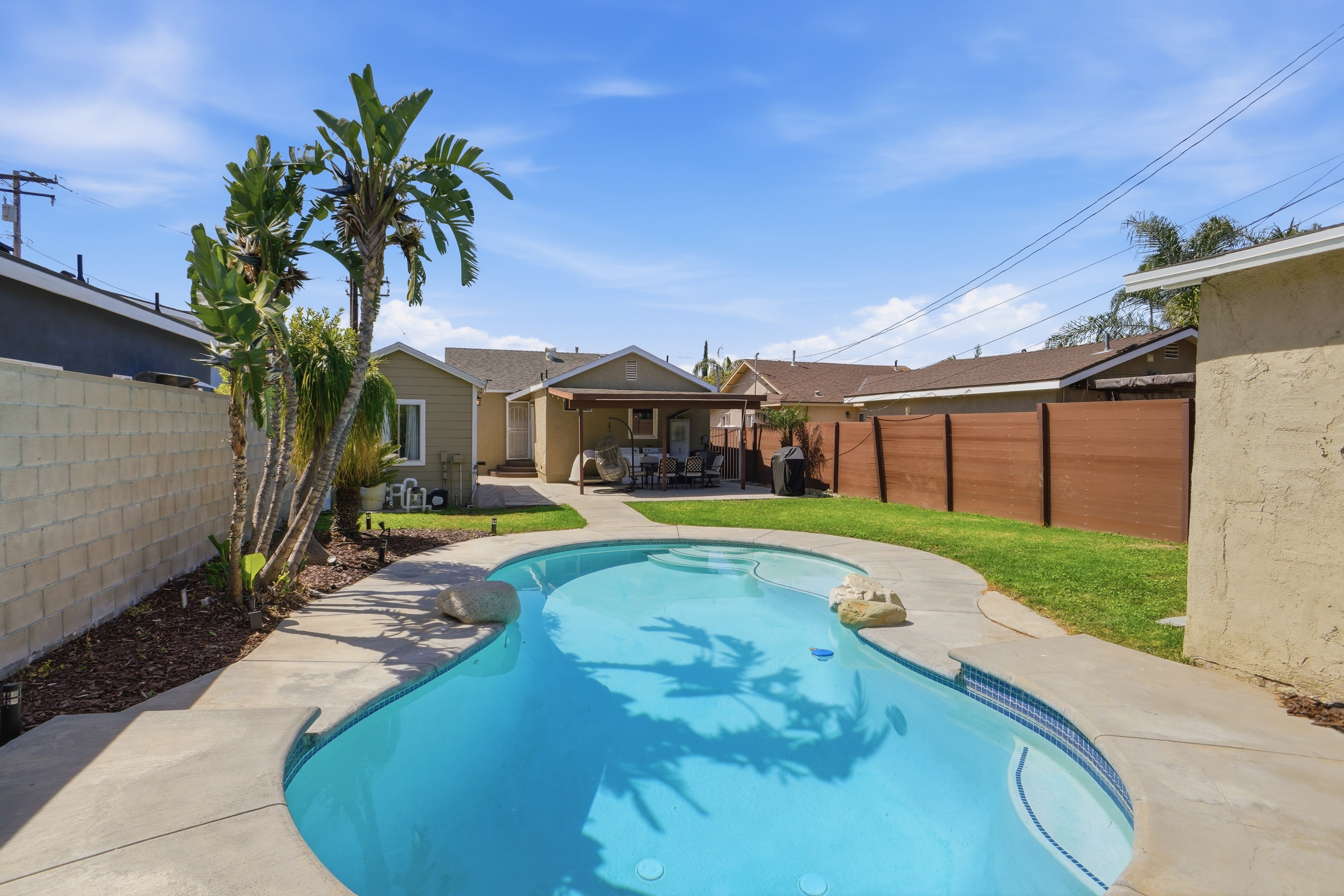 Private in-ground pool with palm tree